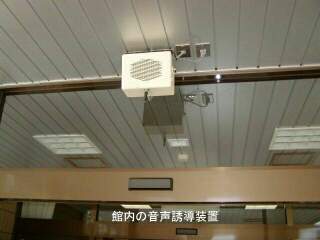ٓ̉Uu̎ʐ^