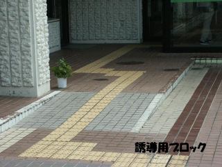 ܂ŗUpubN̎ʐ^