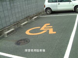 Qҗpԏ̎ʐ^