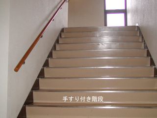 肷tKi̎ʐ^