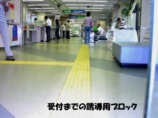 t܂ŗUpubN̎ʐ^