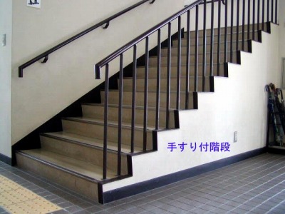 肷tKi̎ʐ^
