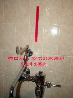 ֌42x̂oē̎ʐ^