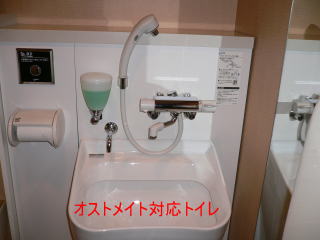 ̎gIXgCg̎ʐ^
