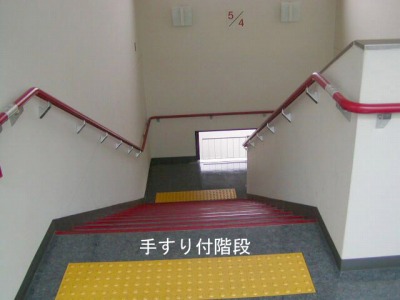 肷tKi̎ʐ^